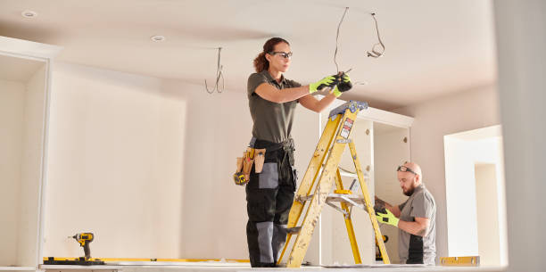 Best Local Electrician Companies  in Jackson, AL